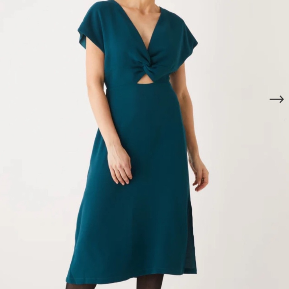 NWT Frank and Oak The Evening Dress